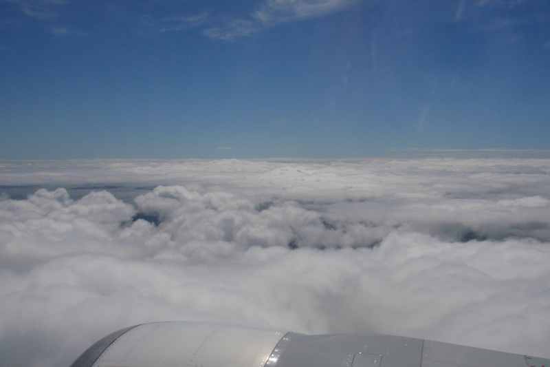 Nieuw-Zeeland 2011 - 2176